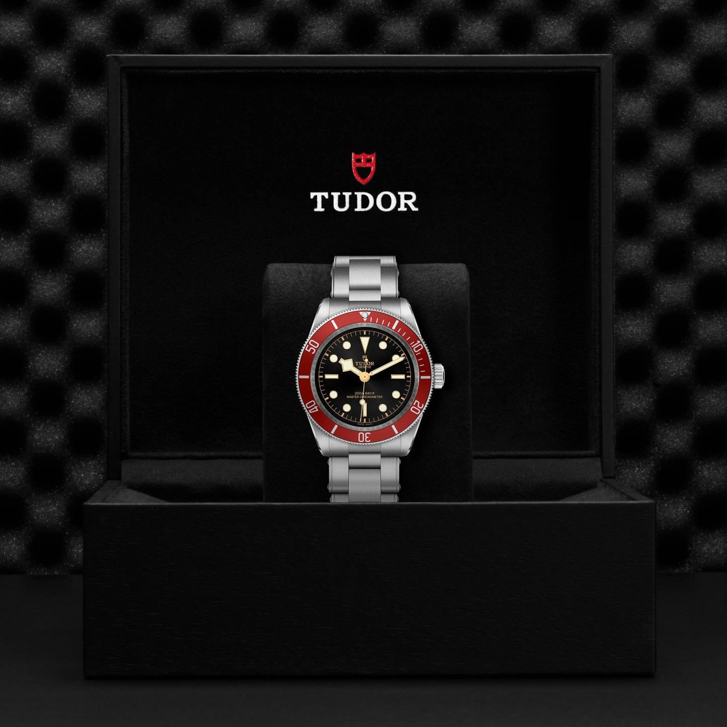 BLACK BAY 41mm | Steel Case METAS Certification