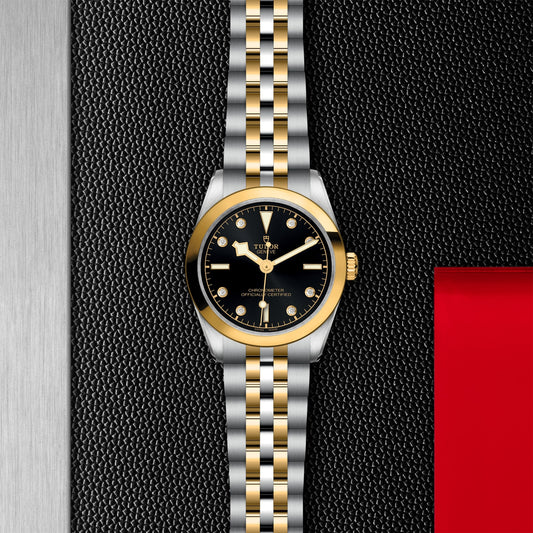 TUDOR Black Bay One 31 S&G