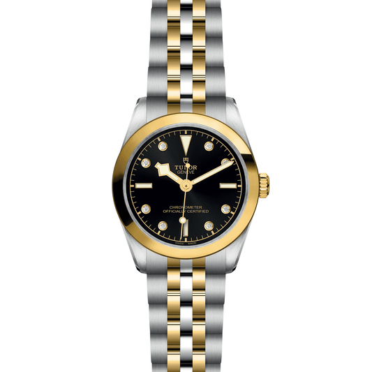 TUDOR Black Bay One 31 S&G
