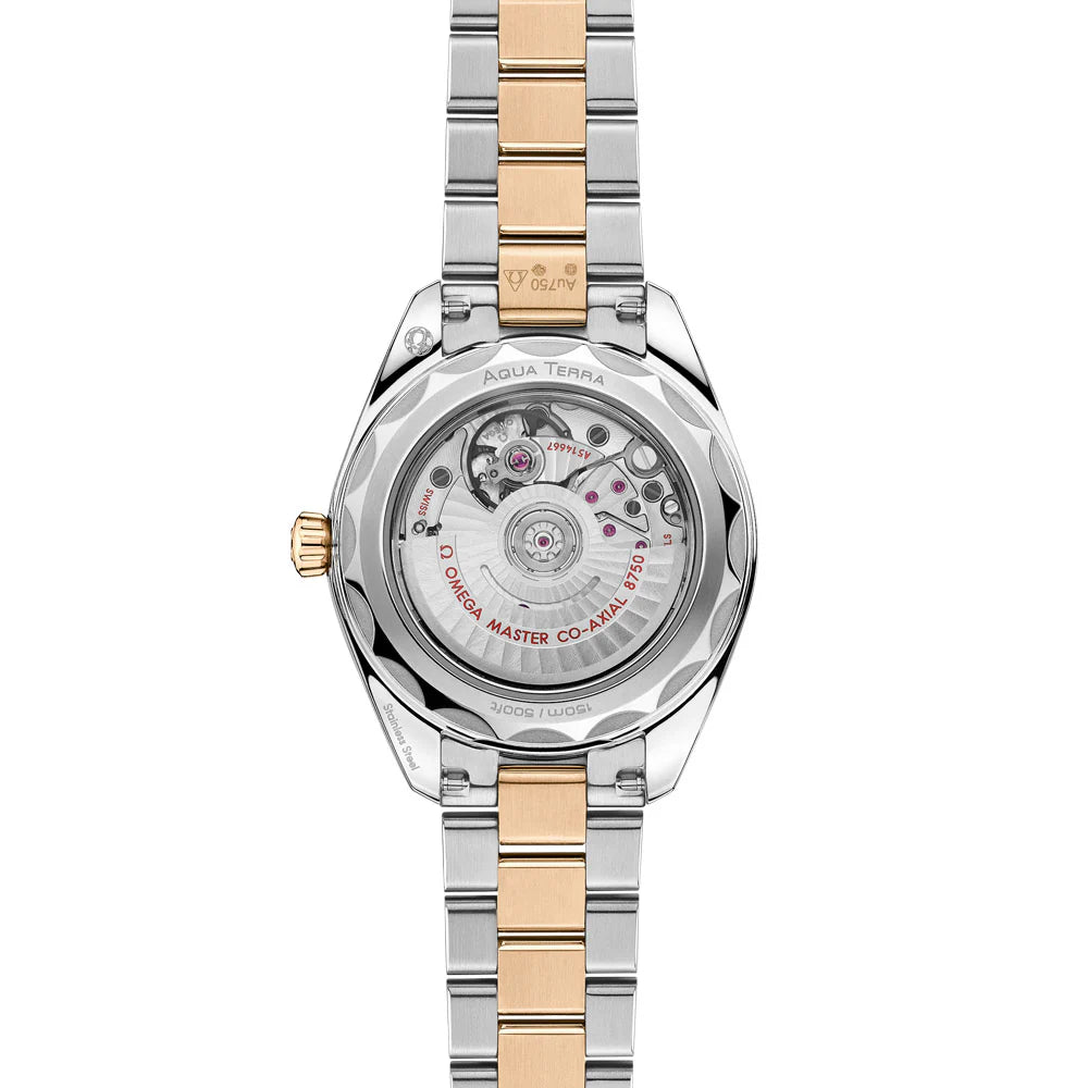 Aqua Terra 150M 30mm Ladies Automatic Watch