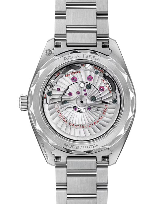 Seamaster Aqua Terra 41mm Gents Watch