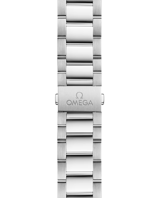 Seamaster Aqua Terra 41mm Gents Watch