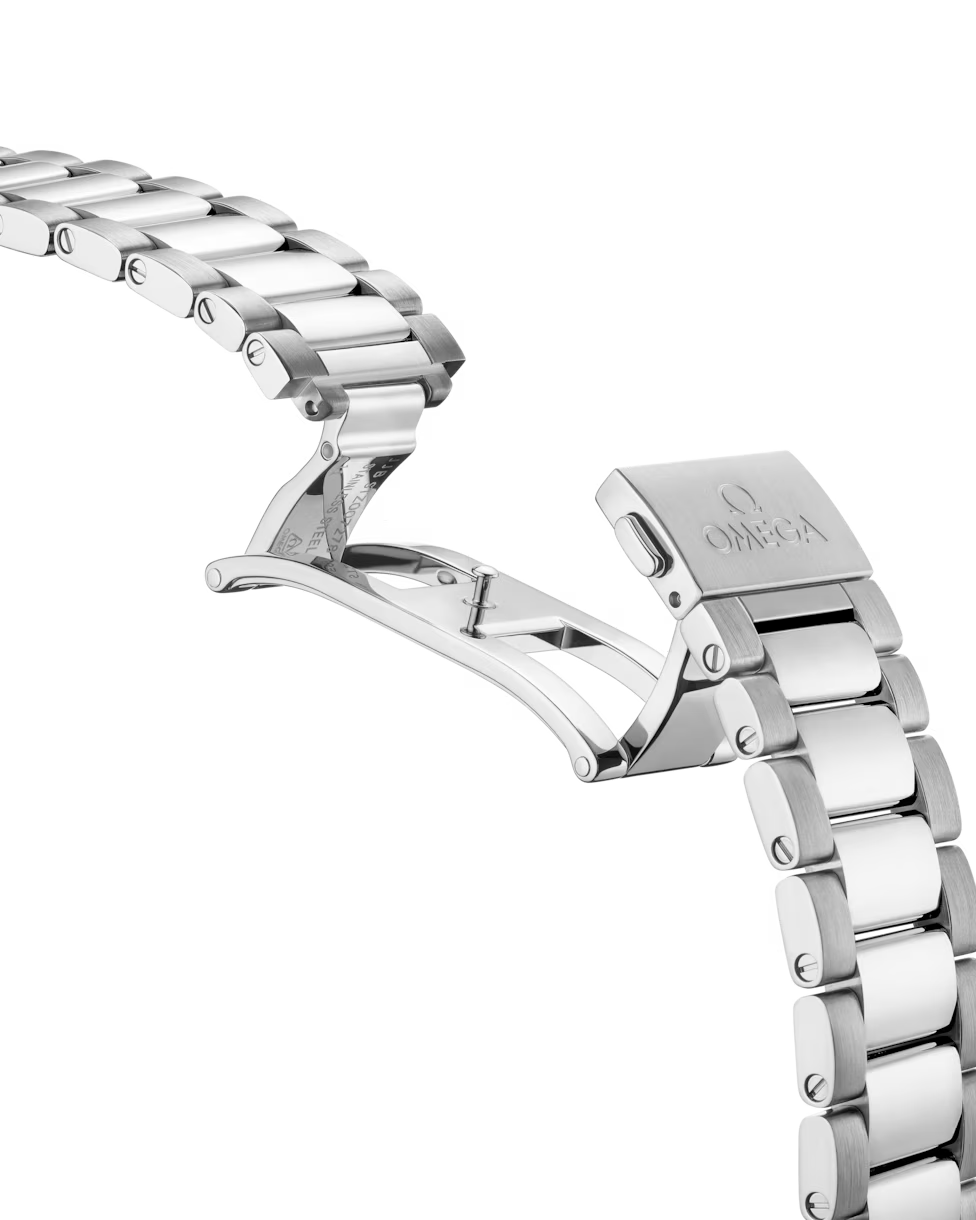Seamaster Aqua Terra 41mm Gents Watch
