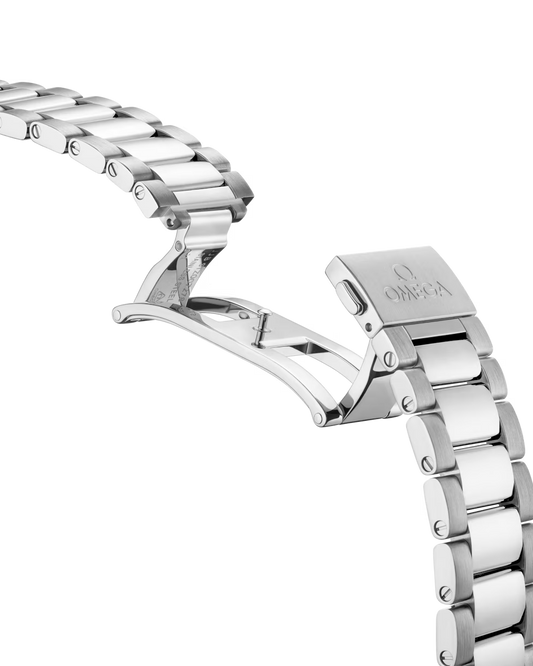 Seamaster Aqua Terra 41mm Gents Watch