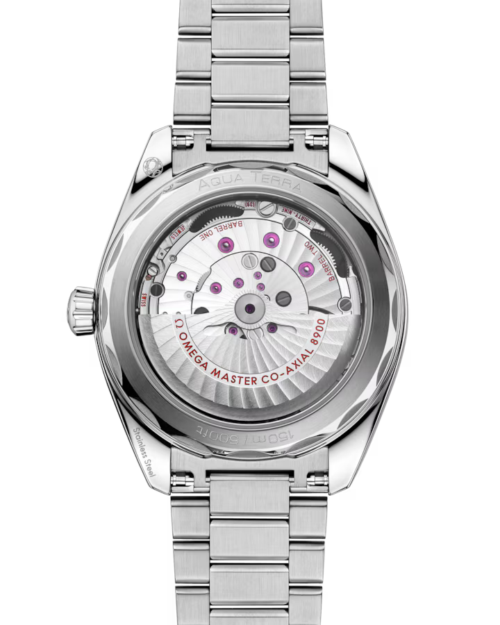 Seamaster Aqua Terra 150m 41mm Automatic Stainless Steel Watch