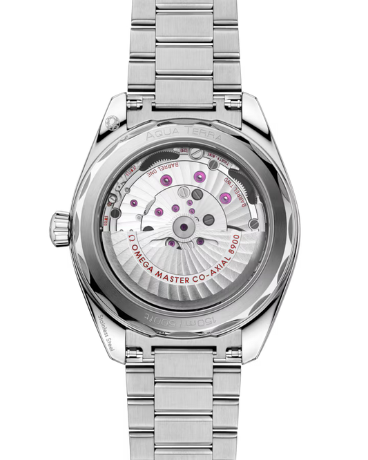 Seamaster Aqua Terra 150m 41mm Automatic Stainless Steel Watch