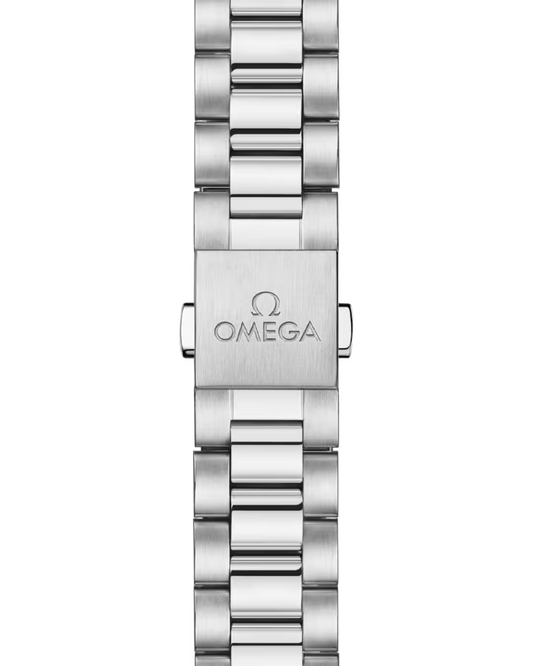 Seamaster Aqua Terra 150m 41mm Automatic Stainless Steel Watch