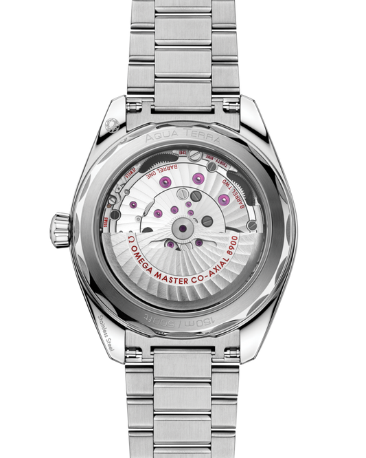 Seamaster Aqua Terra 150m 41mm Steel on Steel Automatic Watch