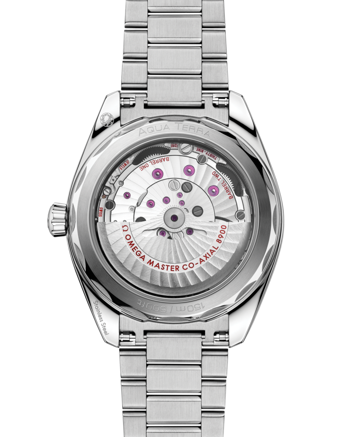 Seamaster Aqua Terra 150m 41mm Steel on Steel Automatic Watch