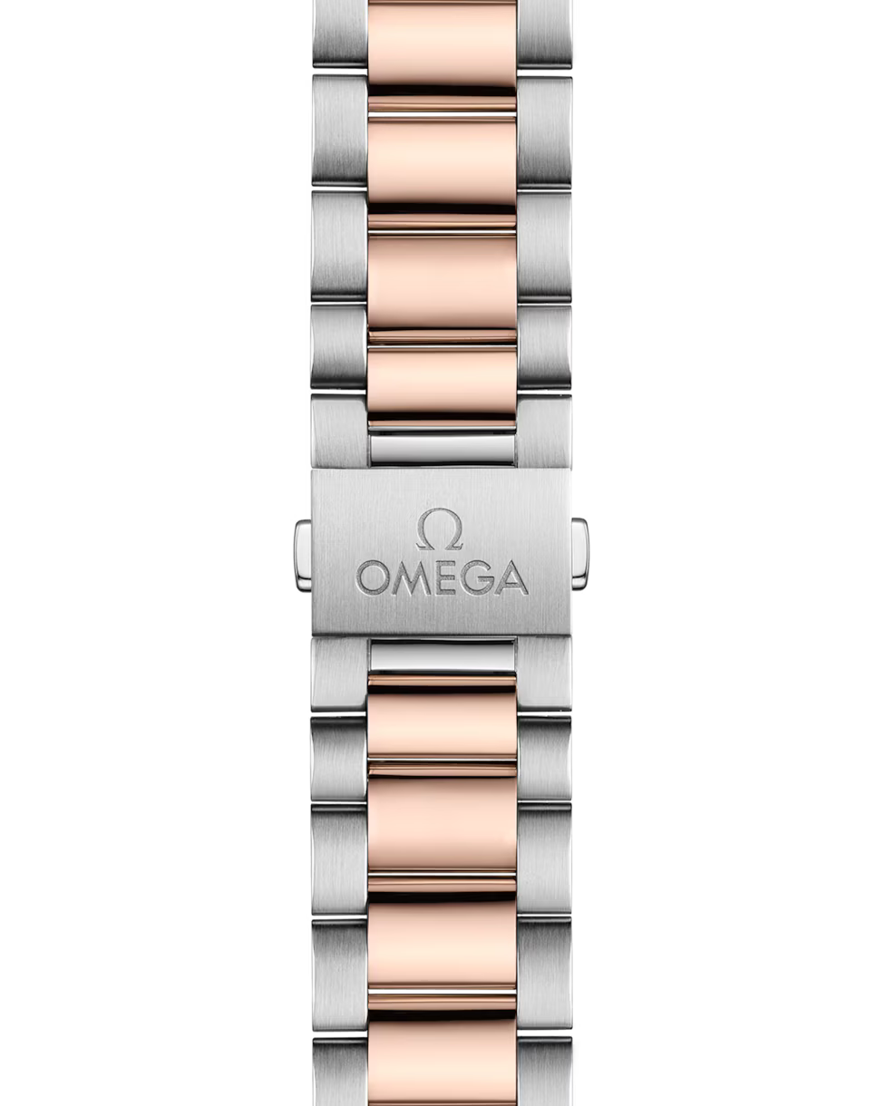 Seamaster Aqua Terra Co-Axial Master Chrono 41mm