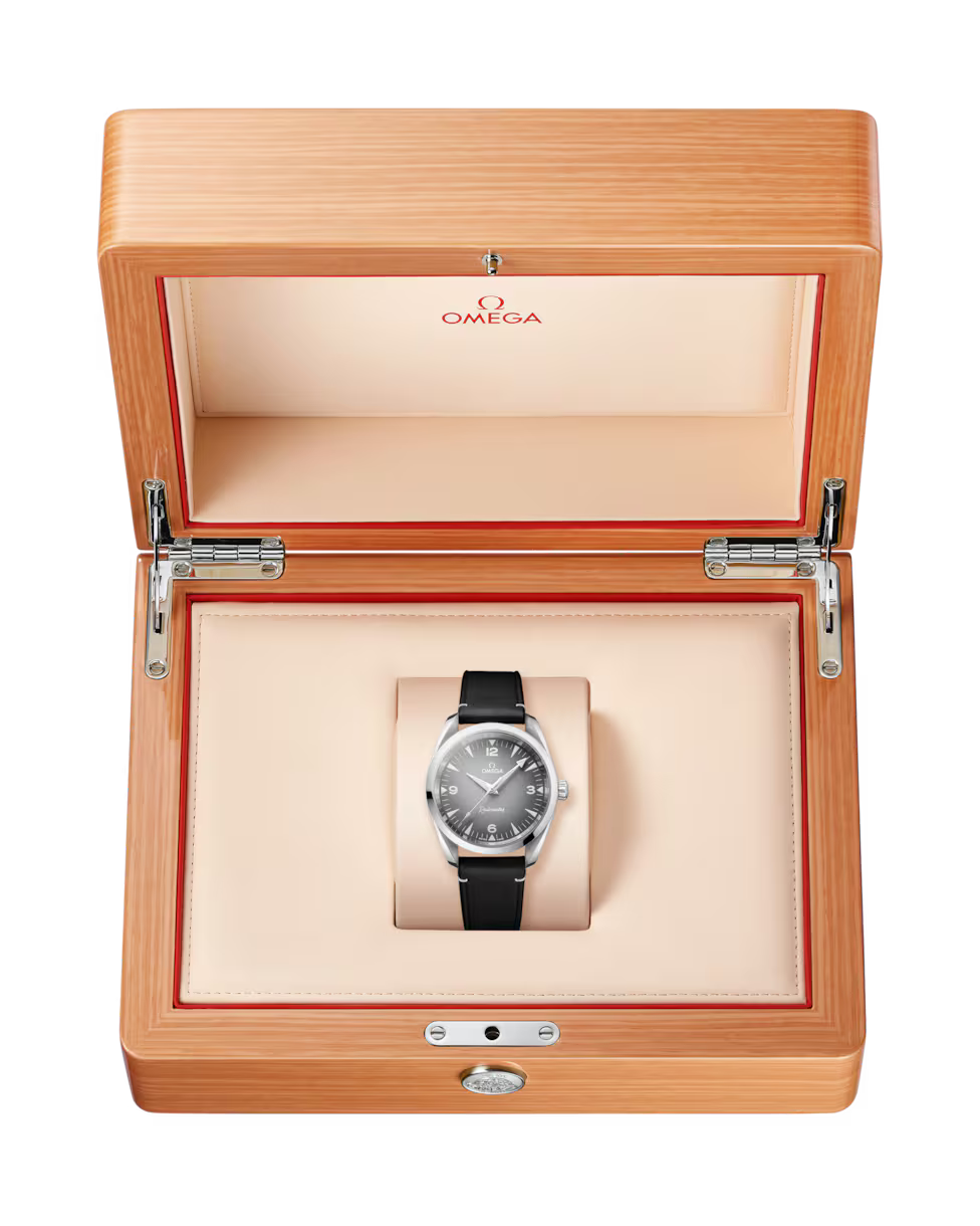 Seamaster Railmaster 38mm Leather Strap Gents Watch