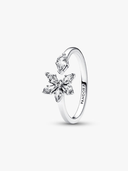 Pandora 192611C01