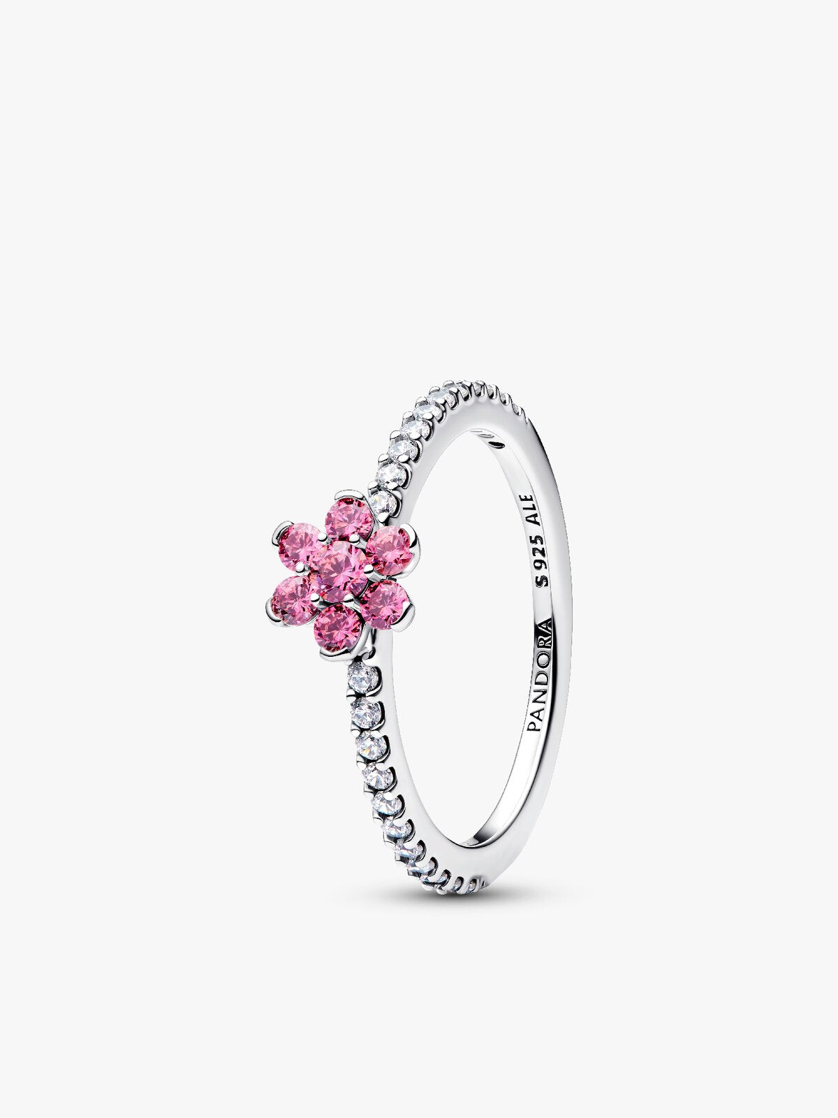 Pandora 194499C02