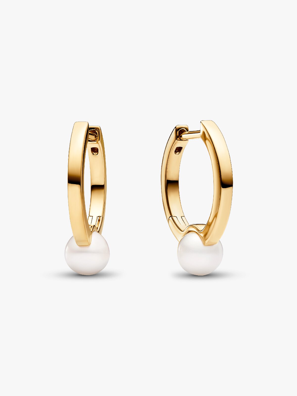 Pandora 263170C01