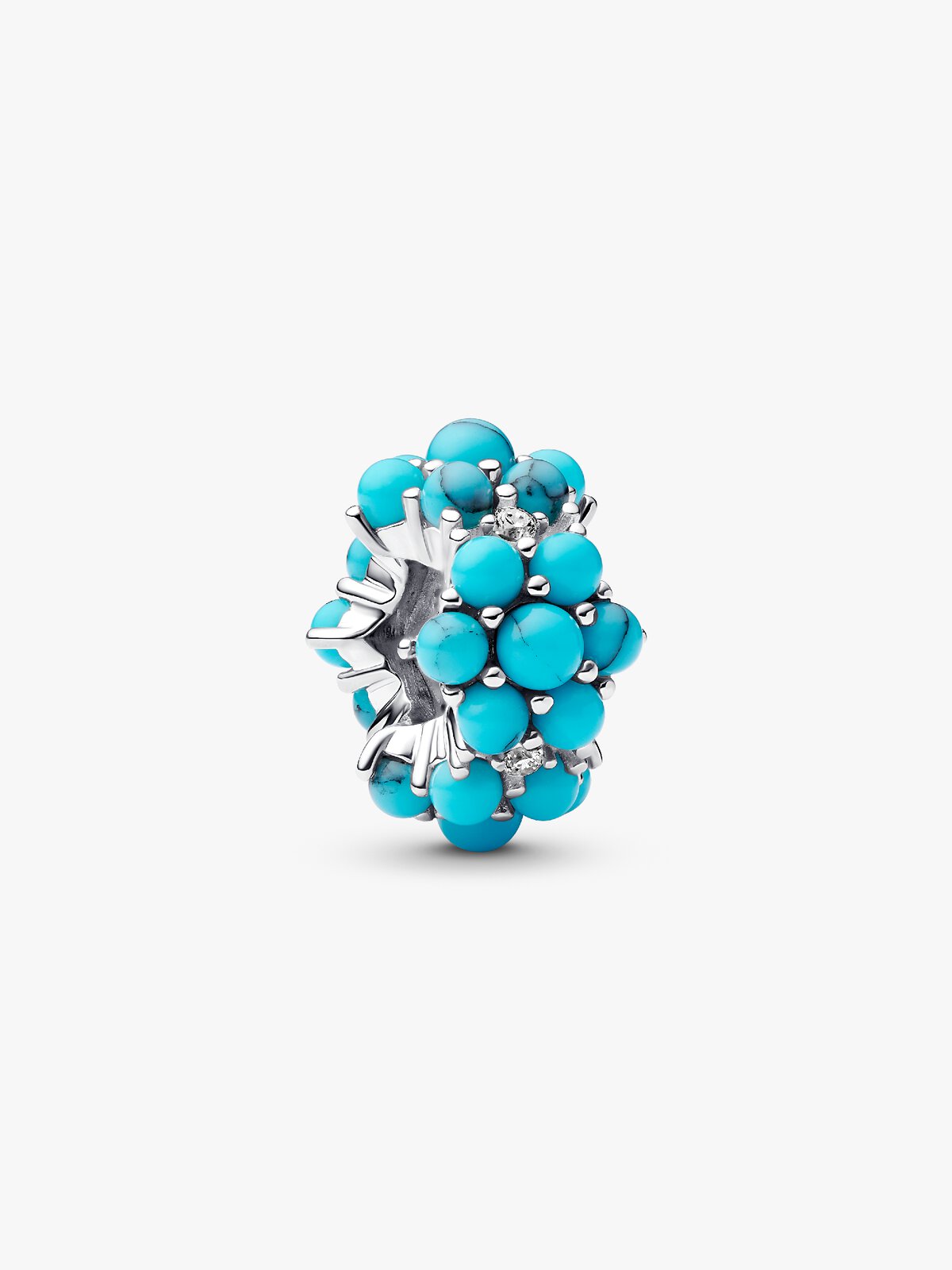Pandora 793897C02