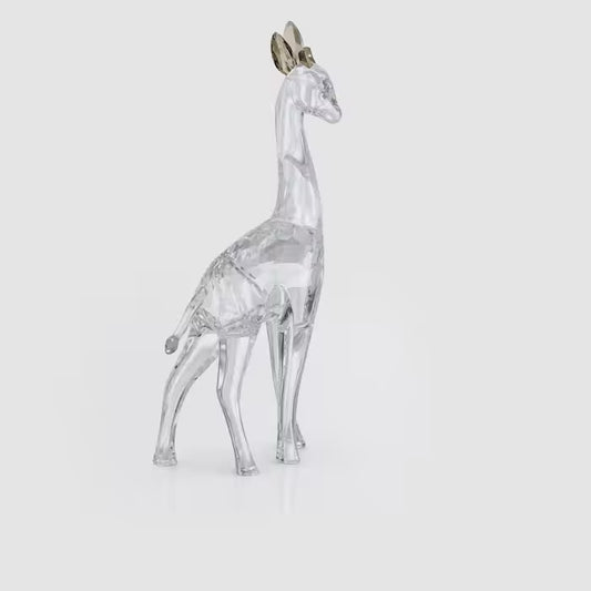 African Sunset Giraffe Nohea