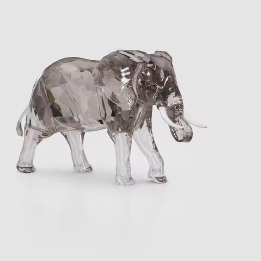 Elegance of Africa SCS Jubilee 2022 Elephant Zena