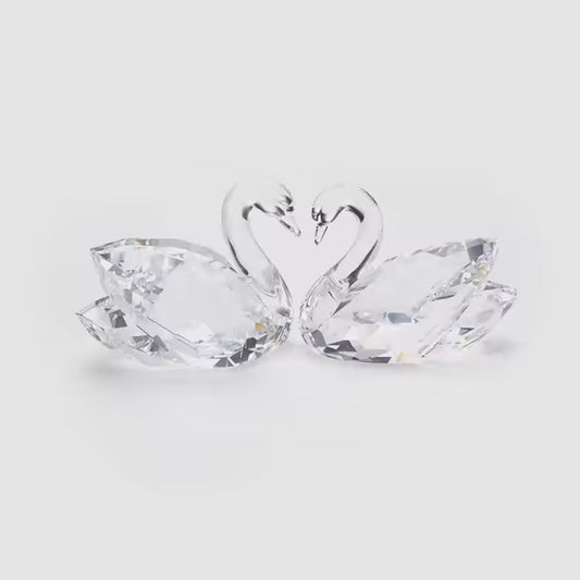 Swan Couple
