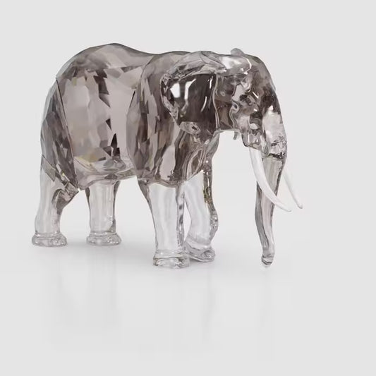 Elegance of Africa SCS Annual 2022 Elephant Fayola