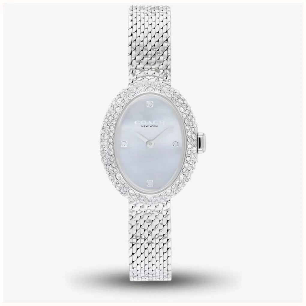 Coach Ladies Sammy Light Blue Dial Mesh Bracelet Watch