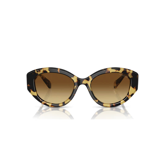Sunglasses, Cat-Eye shape, SK6008, Brown