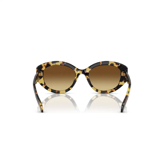 Sunglasses, Cat-Eye shape, SK6008, Brown