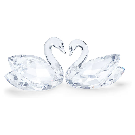 Swan Couple