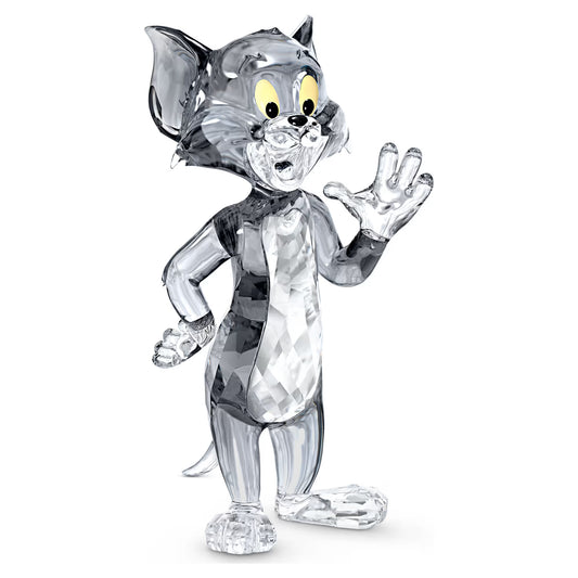 Tom & Jerry: Tom