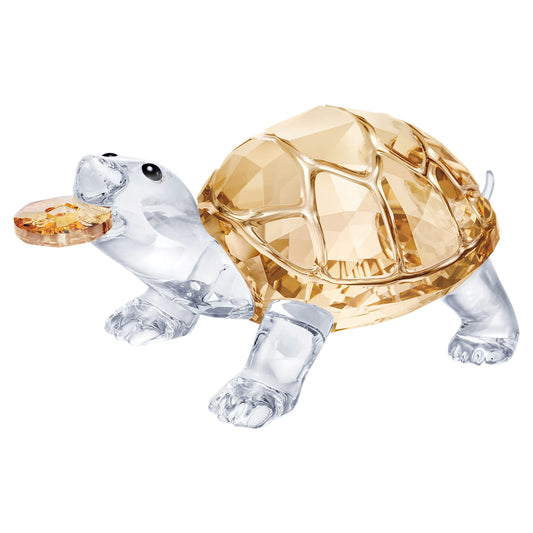 Asian Symbols Tortoise