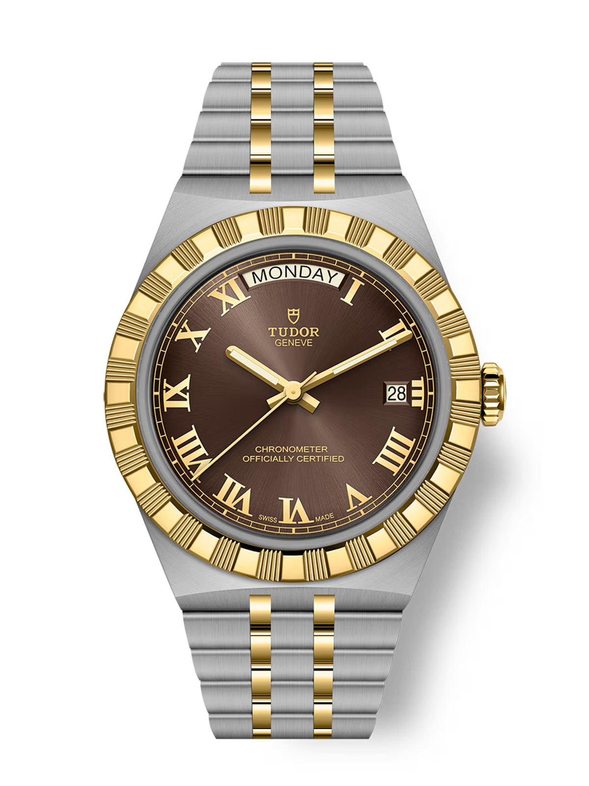 Royal 40mm Bi Metal Automatic Watch | Brown Dial