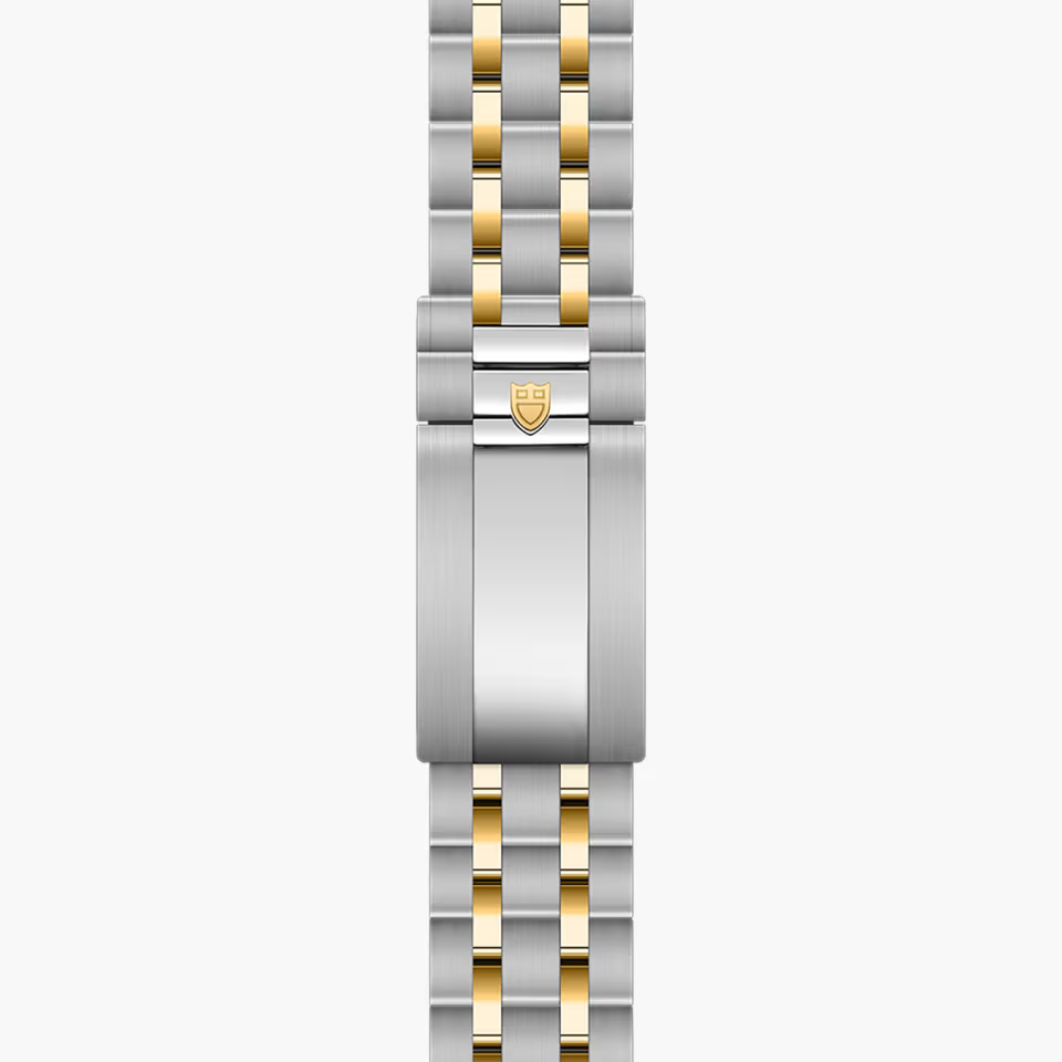 Royal 40mm Bi Metal Automatic Watch | Brown Dial